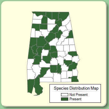 Species Distribution Map