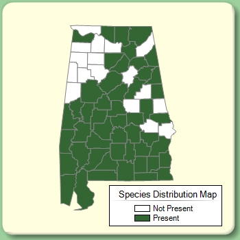 Species Distribution Map