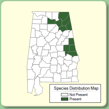 Species Distribution Map