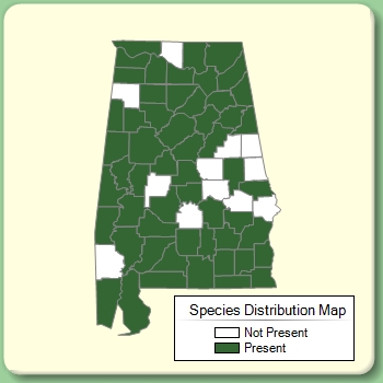 Species Distribution Map