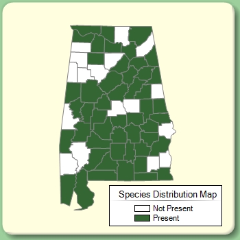 Species Distribution Map