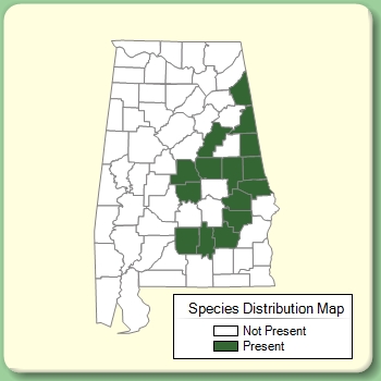 Species Distribution Map