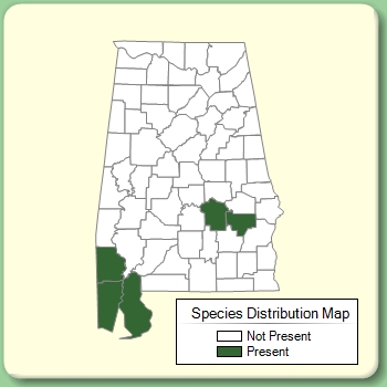 Species Distribution Map