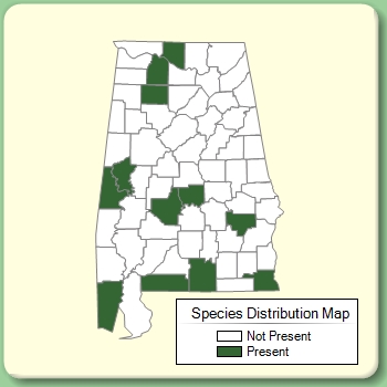 Species Distribution Map