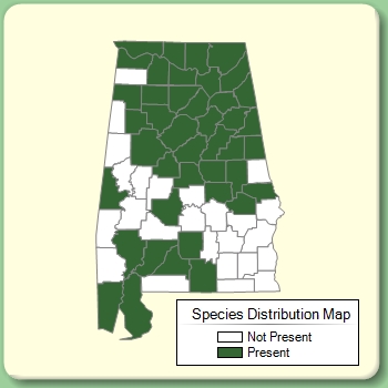 Species Distribution Map