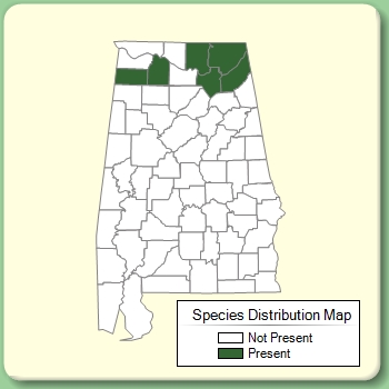 Species Distribution Map