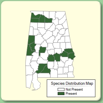 Species Distribution Map