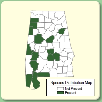 Species Distribution Map