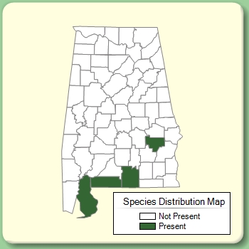 Species Distribution Map