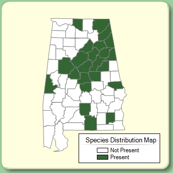 Species Distribution Map