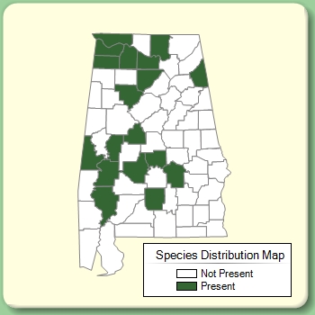 Species Distribution Map