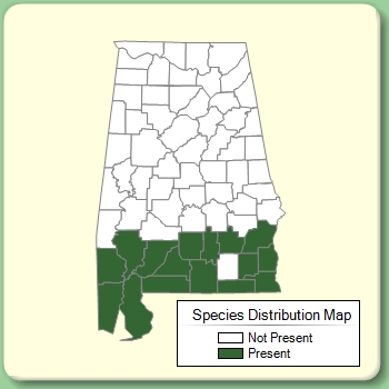 Species Distribution Map