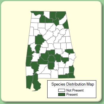 Species Distribution Map