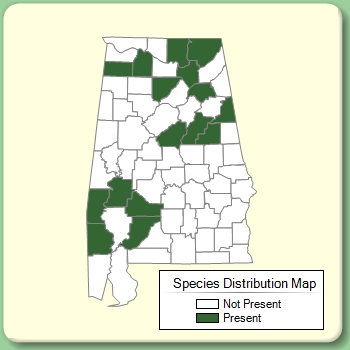 Species Distribution Map