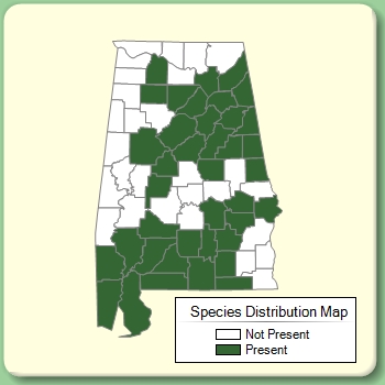 Species Distribution Map