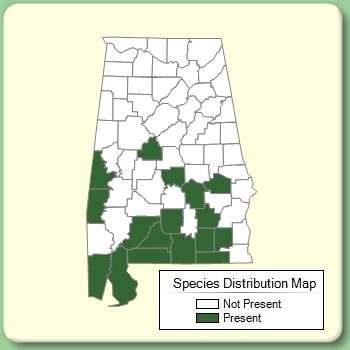 Species Distribution Map