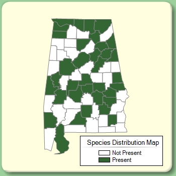 Species Distribution Map