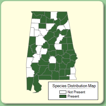 Species Distribution Map