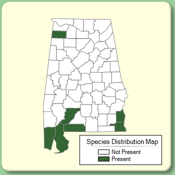 Species Distribution Map