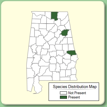 Species Distribution Map