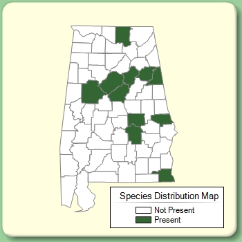 Species Distribution Map