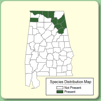 Species Distribution Map