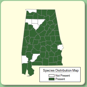 Species Distribution Map