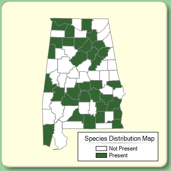 Species Distribution Map