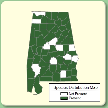 Species Distribution Map