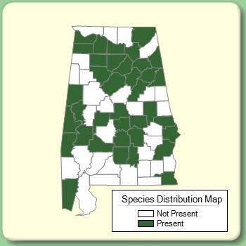 Species Distribution Map