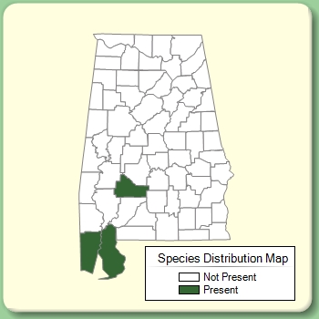 Species Distribution Map