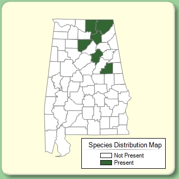 Species Distribution Map