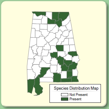 Species Distribution Map