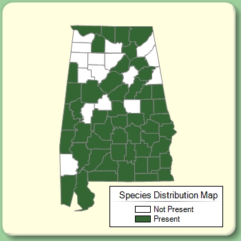 Species Distribution Map