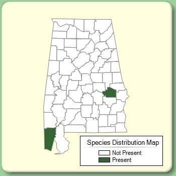 Species Distribution Map