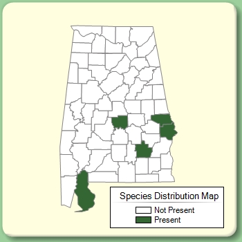 Species Distribution Map