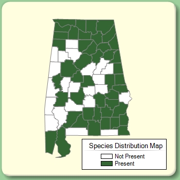 Species Distribution Map