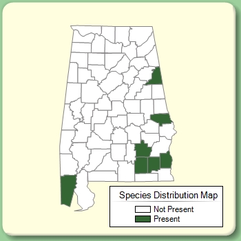 Species Distribution Map