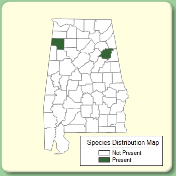 Species Distribution Map