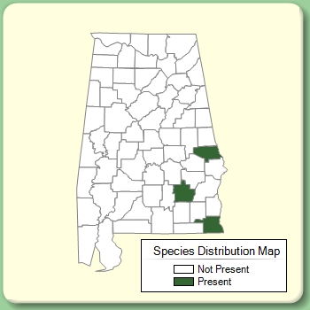 Species Distribution Map