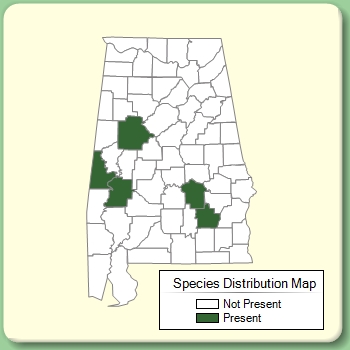 Species Distribution Map