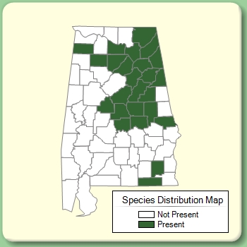 Species Distribution Map