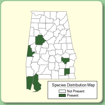 Species Distribution Map