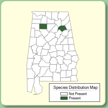 Species Distribution Map