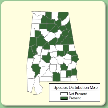 Species Distribution Map