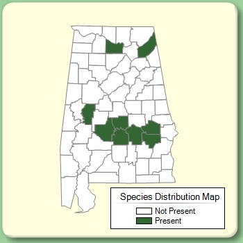 Species Distribution Map