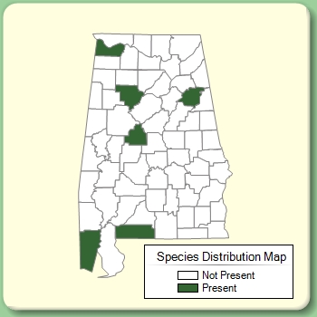 Species Distribution Map