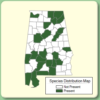 Species Distribution Map