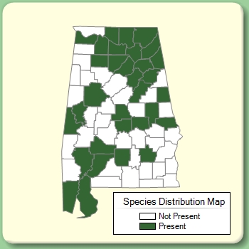 Species Distribution Map