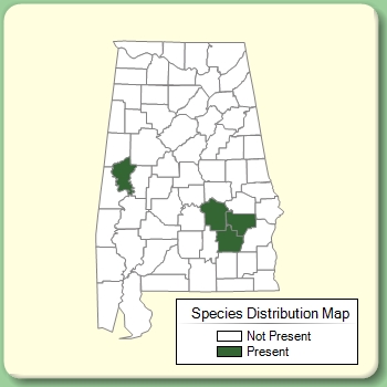 Species Distribution Map